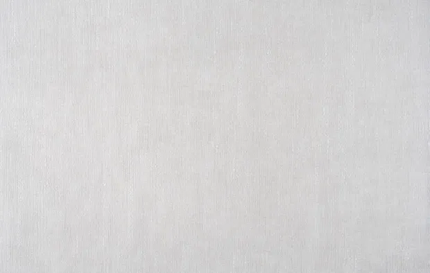 Արակոն 1330-21