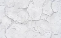 Իմպուլս 2398-04