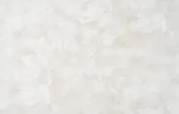 Էտերնետի 2 1607-02