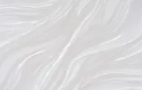 Лилия 2 2396-01