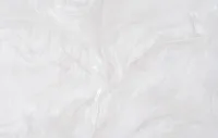 Թևավորություն 2 1615-02