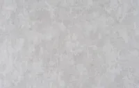 Անտառ 2 1337-10