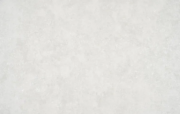 Անտառ 2 1337-11